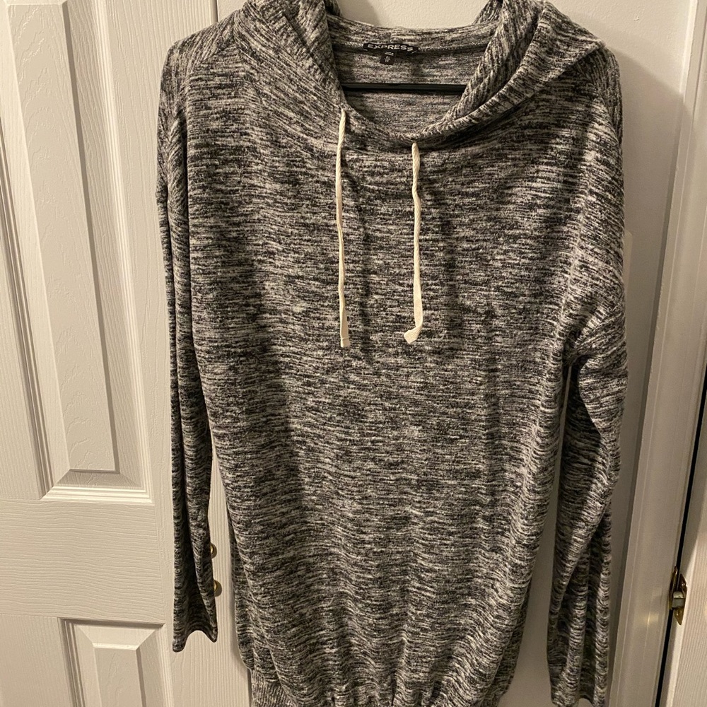 Express Sweater Dress